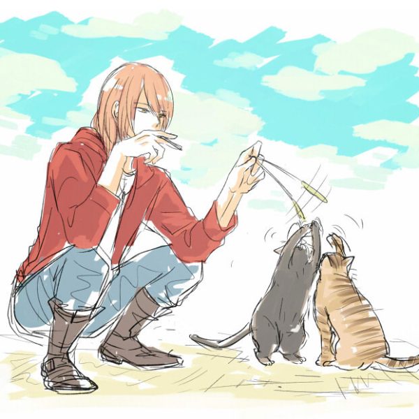 のらねこ
